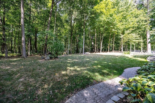 view of yard featuring a view of trees