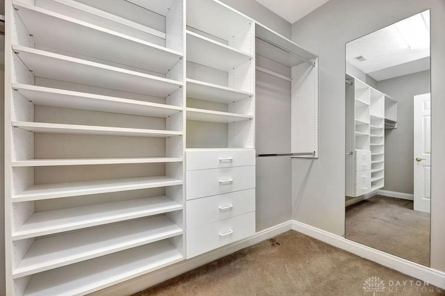 spacious closet featuring carpet and visible vents