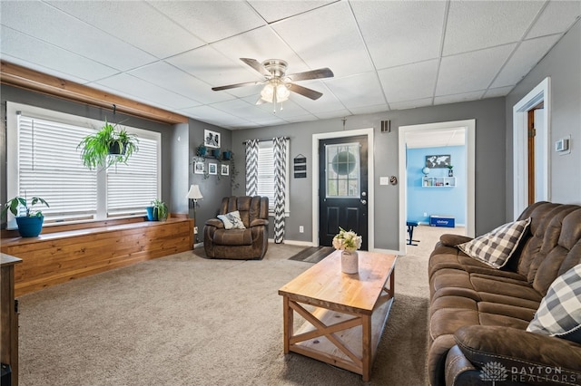 carpeted living area with a ceiling fan, a drop ceiling, and visible vents