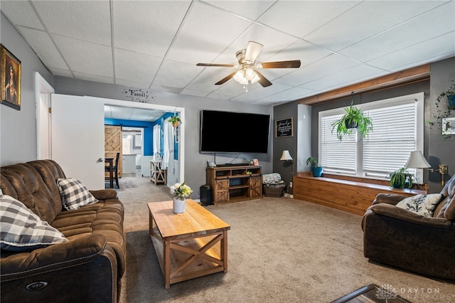 carpeted living area featuring a drop ceiling and ceiling fan