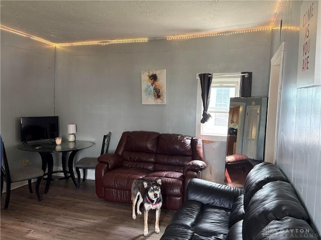 125 High St, New Paris, OH 45347 - living room featuring wood finished floors