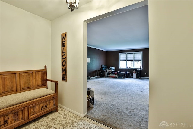 10699 Hamilton Ave, Cincinnati, OH 45231 - corridor with light colored carpet and baseboards