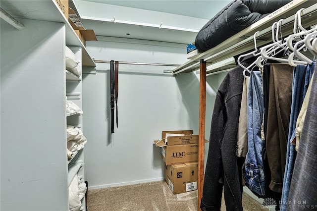 spacious closet with carpet