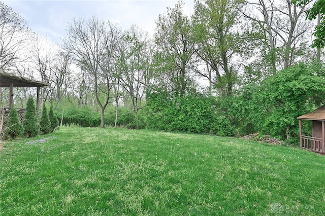 10699 Hamilton Ave, Cincinnati, OH 45231 - view of grassy yard