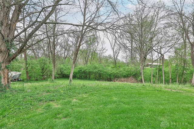 10699 Hamilton Ave, Cincinnati, OH 45231 - view of yard