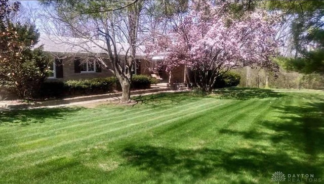 10699 Hamilton Ave, Cincinnati, OH 45231 - view of grassy yard