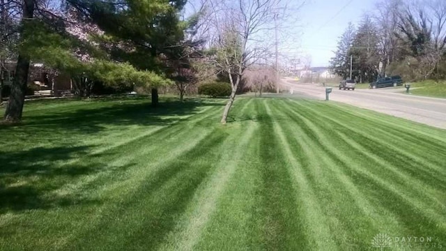 10699 Hamilton Ave, Cincinnati, OH 45231 - view of green lawn
