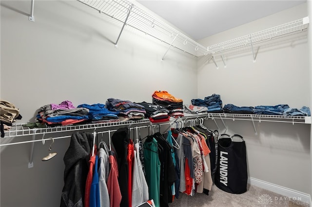 1621 Stonebury Ct, Xenia, OH 45385 - walk in closet with carpet