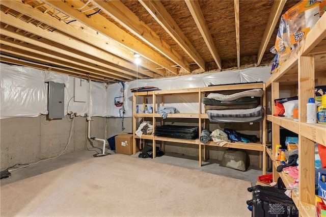 1621 Stonebury Ct, Xenia, OH 45385 - storage with electric panel