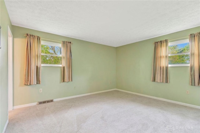 spare room featuring carpet flooring, a textured ceiling, and a wealth of natural light