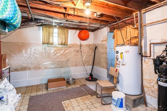 basement with water heater