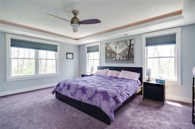 carpeted bedroom with a tray ceiling, multiple windows, and baseboards
