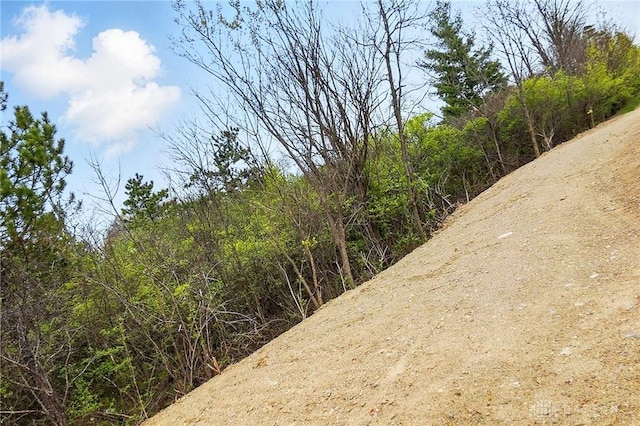 2067 Pine Forest Dr, Miamisburg, OH 45342 - view of undeveloped land