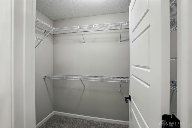2067 Pine Forest Dr, Miamisburg, OH 45342 - spacious closet featuring carpet