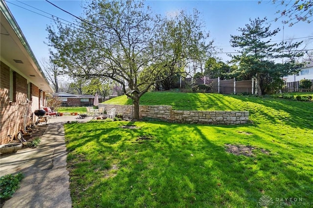 view of yard featuring a fenced backyard and a patio area