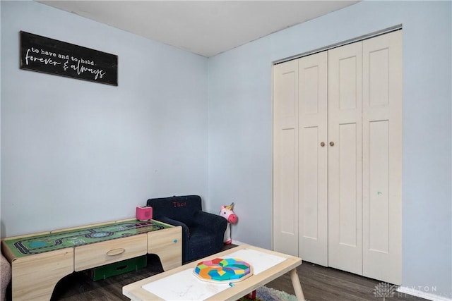 playroom featuring wood finished floors