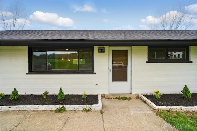 entrance to property featuring brick siding and roof with shingles