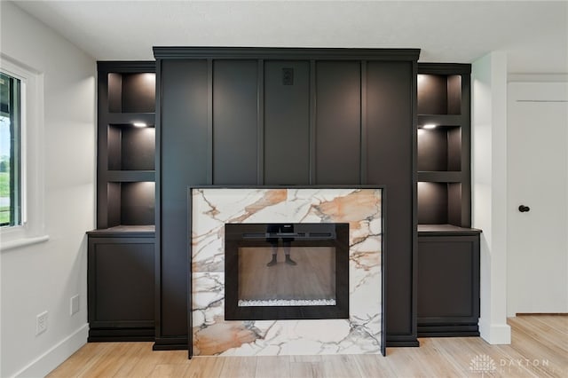 details featuring baseboards, wood finished floors, and a fireplace