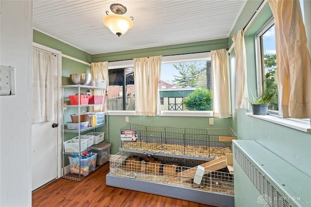 sunroom / solarium featuring a healthy amount of sunlight and radiator heating unit
