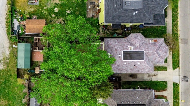 bird's eye view