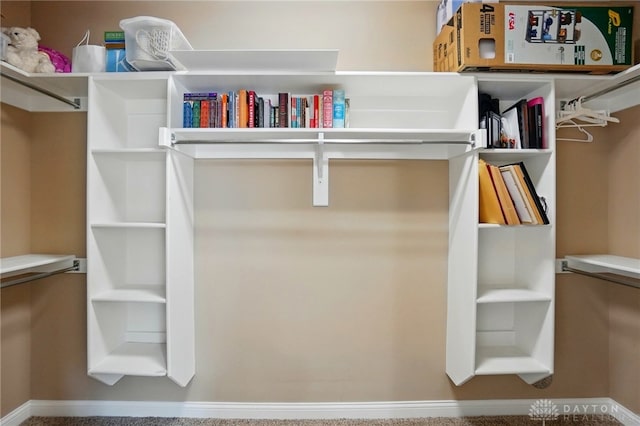 view of walk in closet