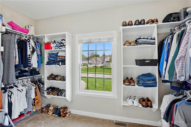 walk in closet featuring visible vents and carpet flooring
