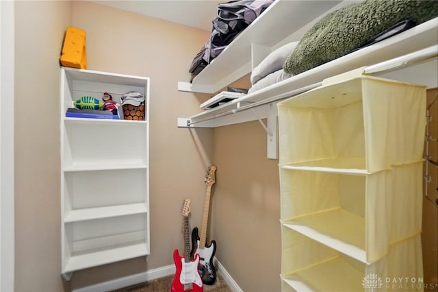 view of walk in closet