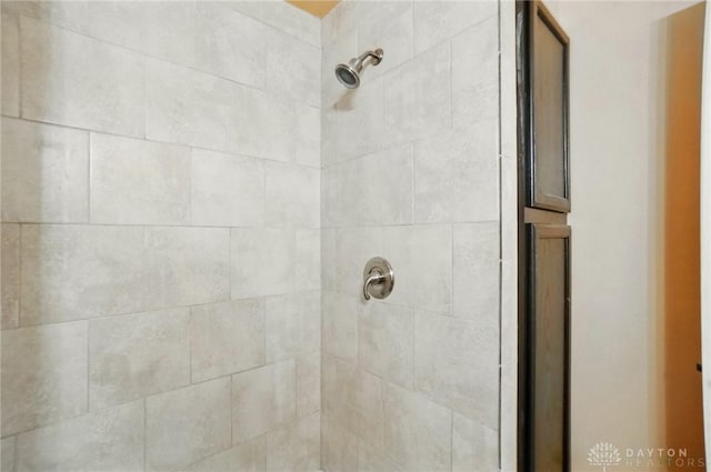 interior details with tiled shower