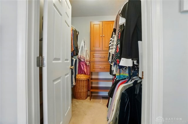 walk in closet with light carpet