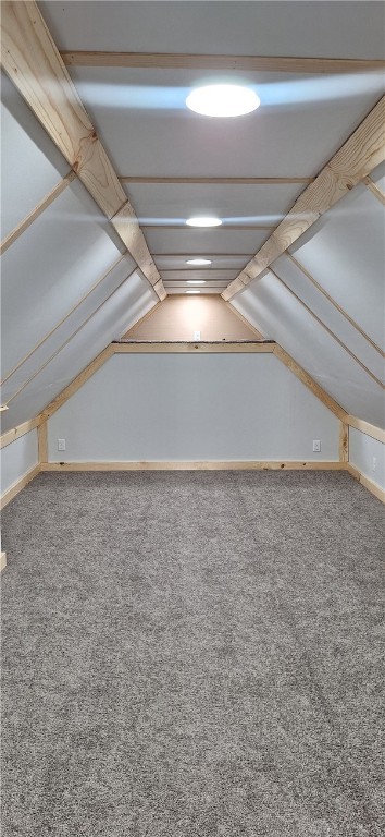 131 Hamilton St, West Milton, OH 45383 - additional living space with vaulted ceiling and carpet floors