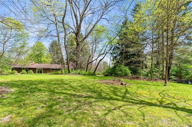view of yard