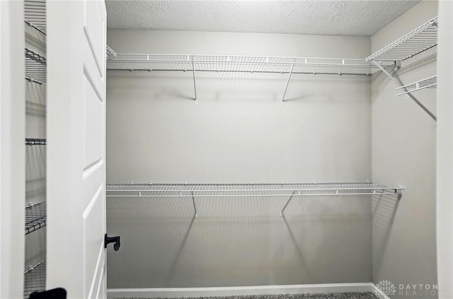 2061 Pine Forest Dr, Miamisburg, OH 45342 - view of walk in closet