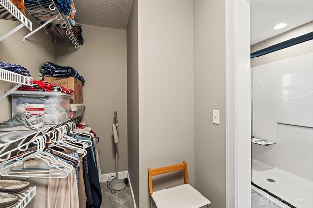 838 W Bentley Cir, Troy, OH 45373 - spacious closet with carpet