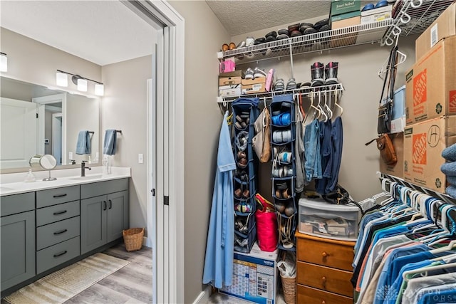 838 W Bentley Cir, Troy, OH 45373 - walk in closet featuring a sink and light wood finished floors