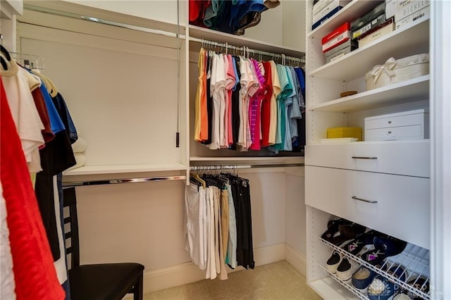 835 Vintage Green Way, Centerville, OH 45458 - walk in closet featuring carpet flooring