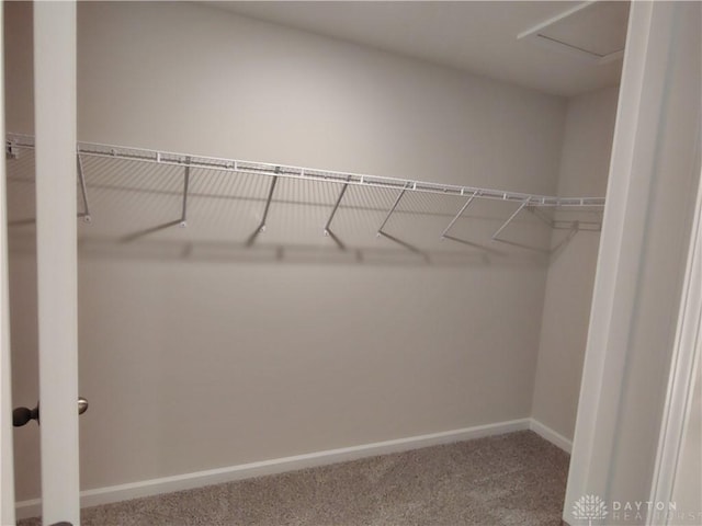 7731 Cilantro Way, Clayton, OH 45315 - photo 11