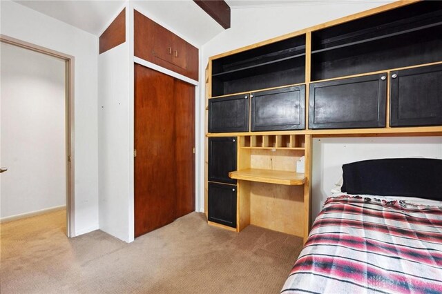 unfurnished bedroom featuring light colored carpet, vaulted ceiling, and a closet