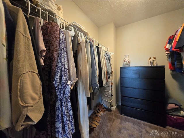walk in closet with carpet flooring