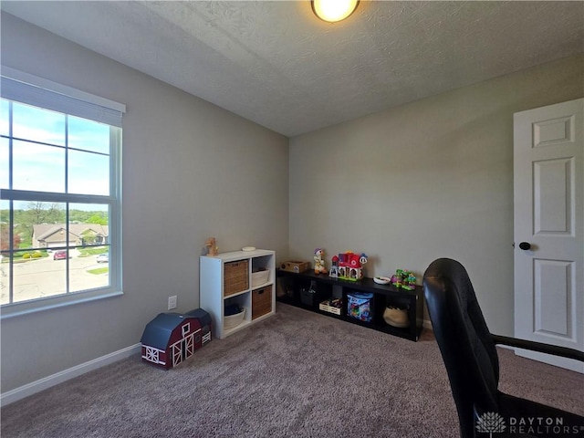 office featuring carpet floors, baseboards, and plenty of natural light