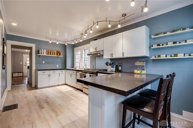 94 Patterson Rd, Oakwood, OH 45419 - kitchen with stainless steel gas range oven, open shelves, a peninsula, ornamental molding, and under cabinet range hood