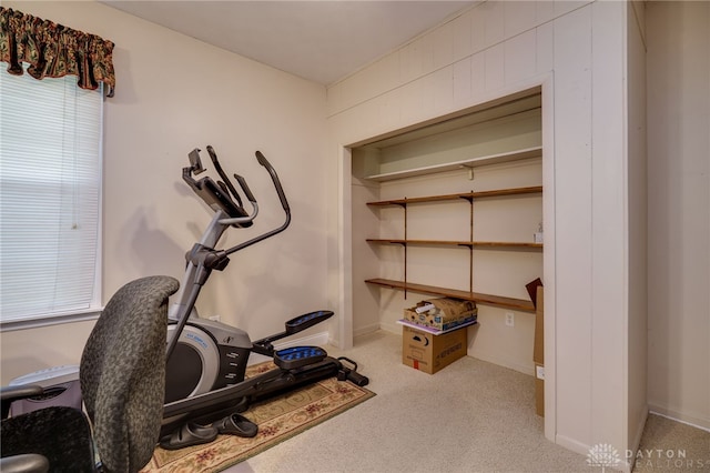 9550 Paragon Rd, Dayton, OH 45458 - workout area featuring carpet floors and baseboards