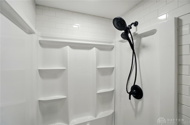 interior details with walk in shower