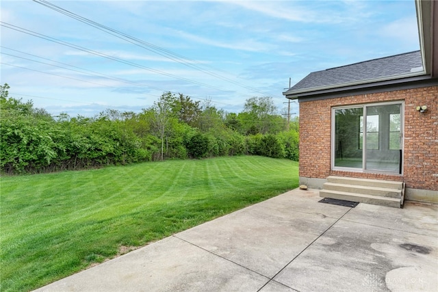 view of yard featuring a patio area and entry steps