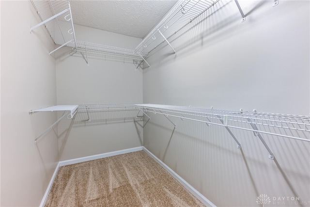 spacious closet with carpet