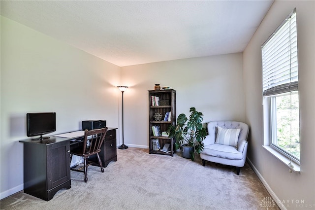 office featuring baseboards and carpet