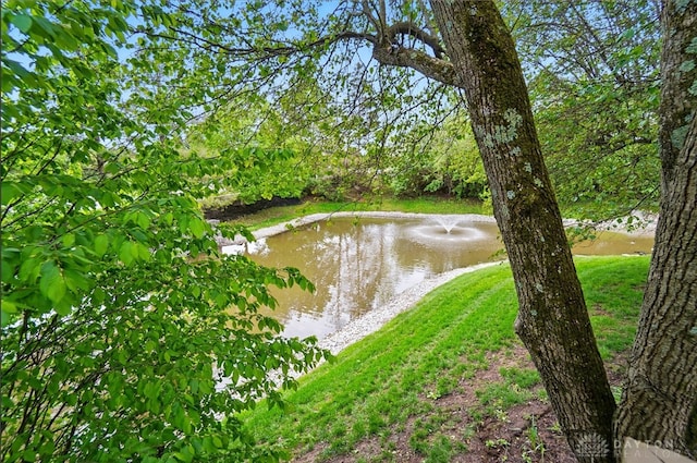 7395 Cades Cv, Dayton, OH 45459 - photo 69