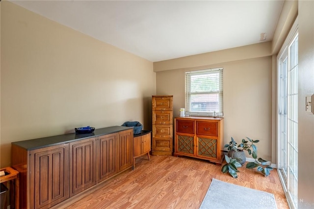 miscellaneous room featuring light wood-style floors