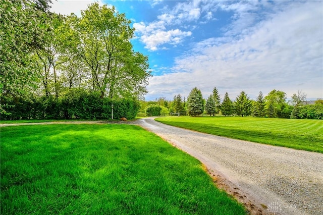 view of community with a lawn