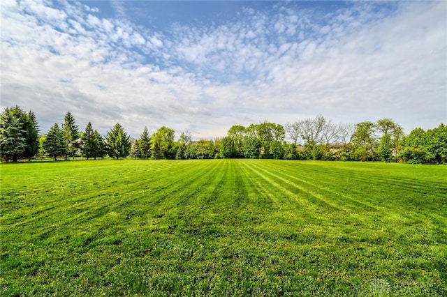 view of yard with a rural view
