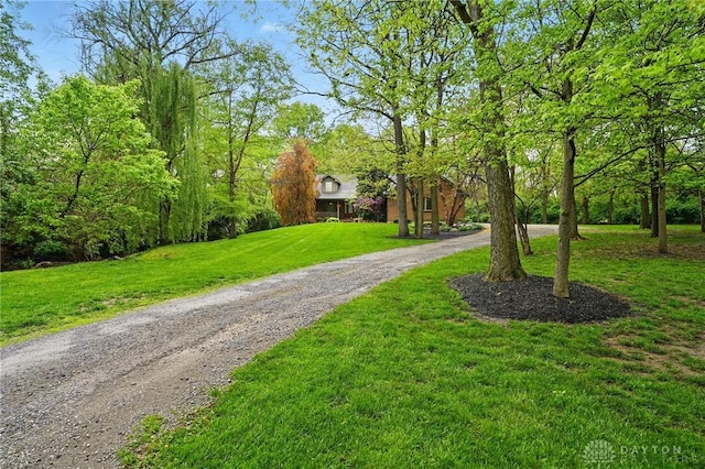 view of home's community featuring a lawn and driveway